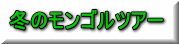冬のモンゴルツアー 