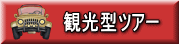観光型ツアー