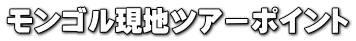 モンゴル現地ツアーポイント